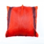 Mobile Preview: springbok cushion, orange